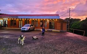 Cabinas Selva Verde