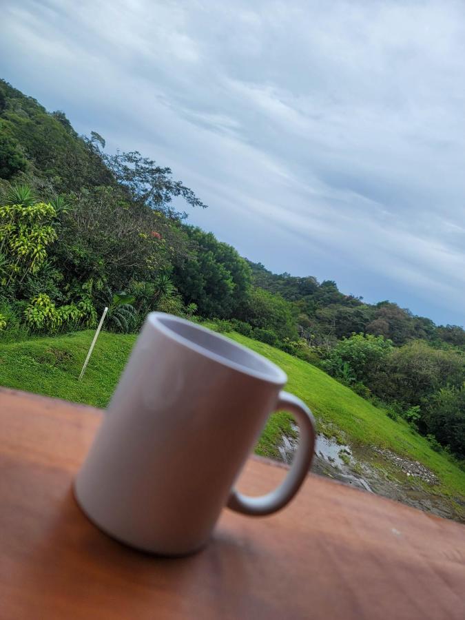 Cabinas Selva Verde Monteverde Buitenkant foto
